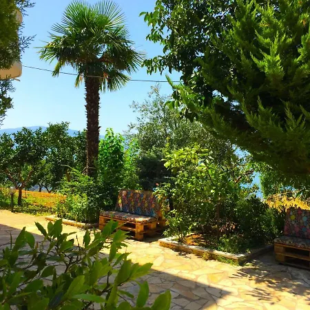 Bonda Vlore